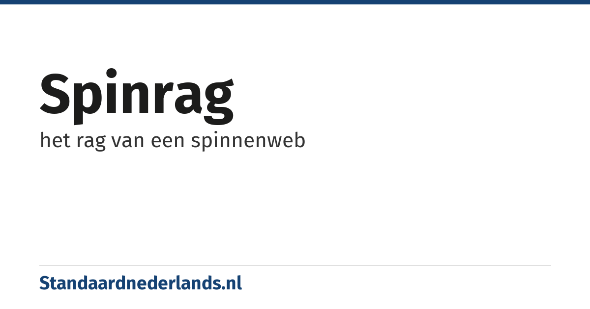 spinrag: het rag van een spinnenweb