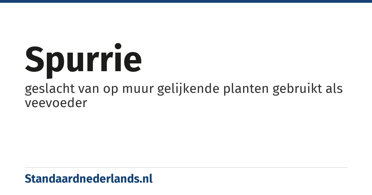 spurrie: geslacht van op muur gelijkende planten gebruikt als veevoeder