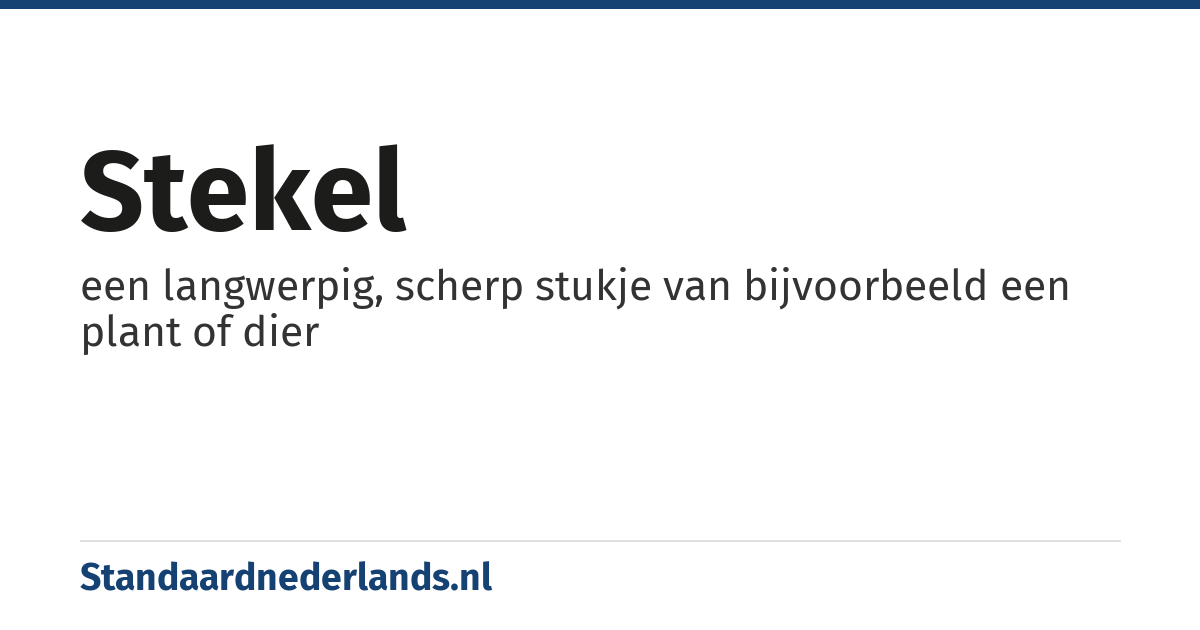 stekel: een langwerpig, scherp stukje van bijvoorbeeld een plant of dier