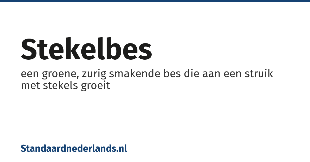 stekelbes: een groene, zurig smakende bes die aan een struik met stekels groeit