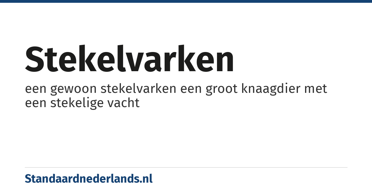 stekelvarken: een gewoon stekelvarken een groot knaagdier met een stekelige vacht