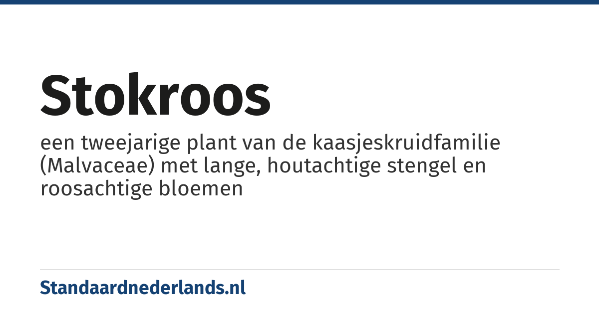 stokroos: een tweejarige plant van de kaasjeskruidfamilie (Malvaceae) met lange, houtachtige stengel en roosachtige bloemen