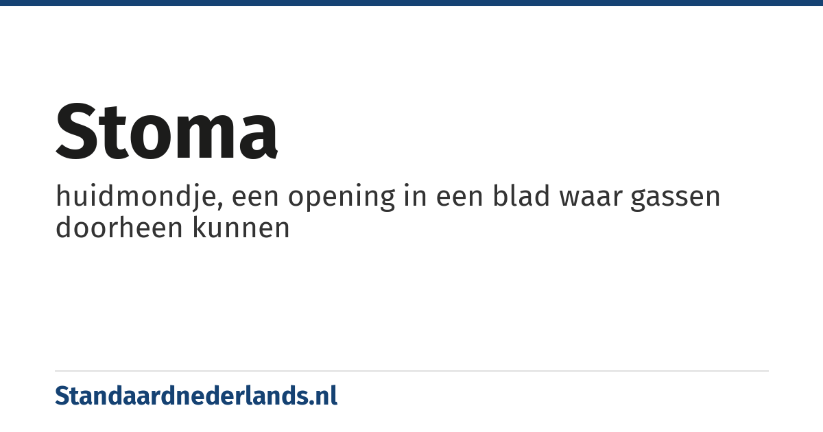 stoma: huidmondje, een opening in een blad waar gassen doorheen kunnen