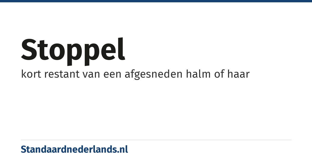 stoppel: kort restant van een afgesneden halm of haar