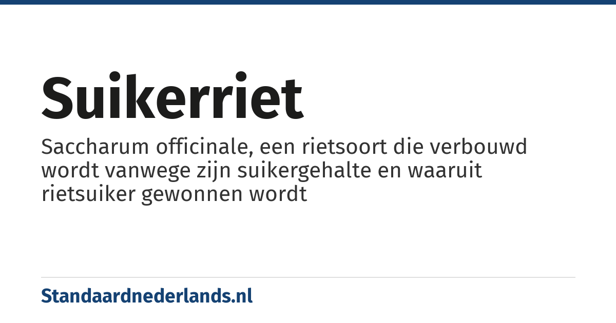 suikerriet: Saccharum officinale, een rietsoort die verbouwd wordt vanwege zijn suikergehalte en waaruit rietsuiker gewonnen wordt