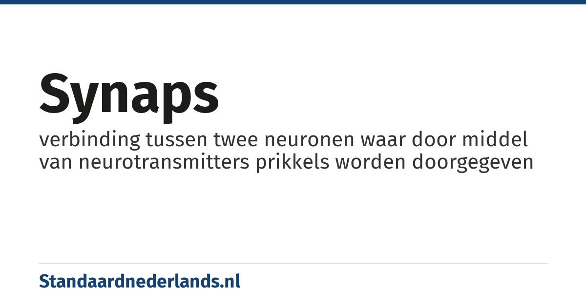 synaps: verbinding tussen twee neuronen waar door middel van neurotransmitters prikkels worden doorgegeven