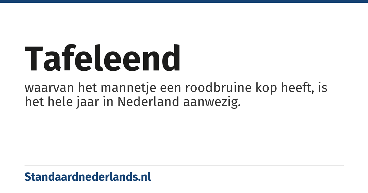 tafeleend: waarvan het mannetje een roodbruine kop heeft, is het hele jaar in Nederland aanwezig.