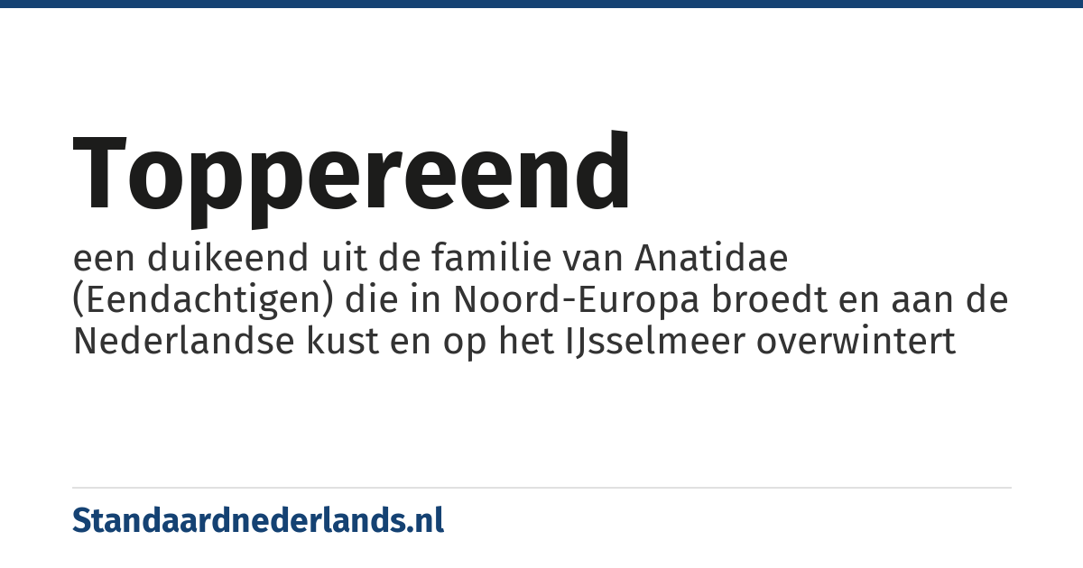 toppereend: een duikeend uit de familie van Anatidae (Eendachtigen) die in Noord-Europa broedt en aan de Nederlandse kust en op het IJsselmeer overwintert