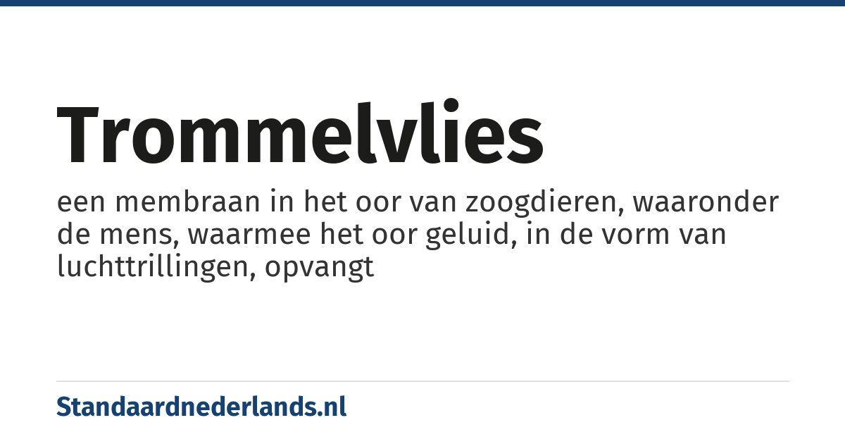 trommelvlies: een membraan in het oor van zoogdieren, waaronder de mens, waarmee het oor geluid, in de vorm van luchttrillingen, opvangt