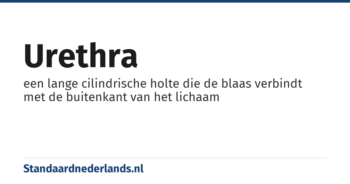 urethra: een lange cilindrische holte die de blaas verbindt met de buitenkant van het lichaam
