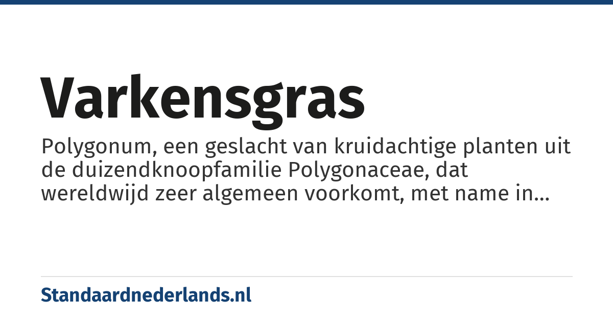 varkensgras: Polygonum, een geslacht van kruidachtige planten uit de duizendknoopfamilie Polygonaceae, dat wereldwijd zeer algemeen voorkomt, met name in de gematigde streken
