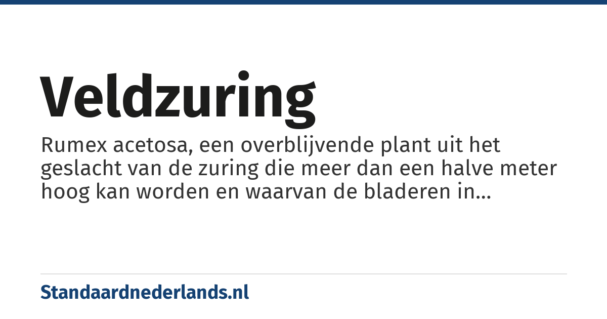 veldzuring: Rumex acetosa, een overblijvende plant uit het geslacht van de zuring die meer dan een halve meter hoog kan worden en waarvan de bladeren in salades verwerkt worden