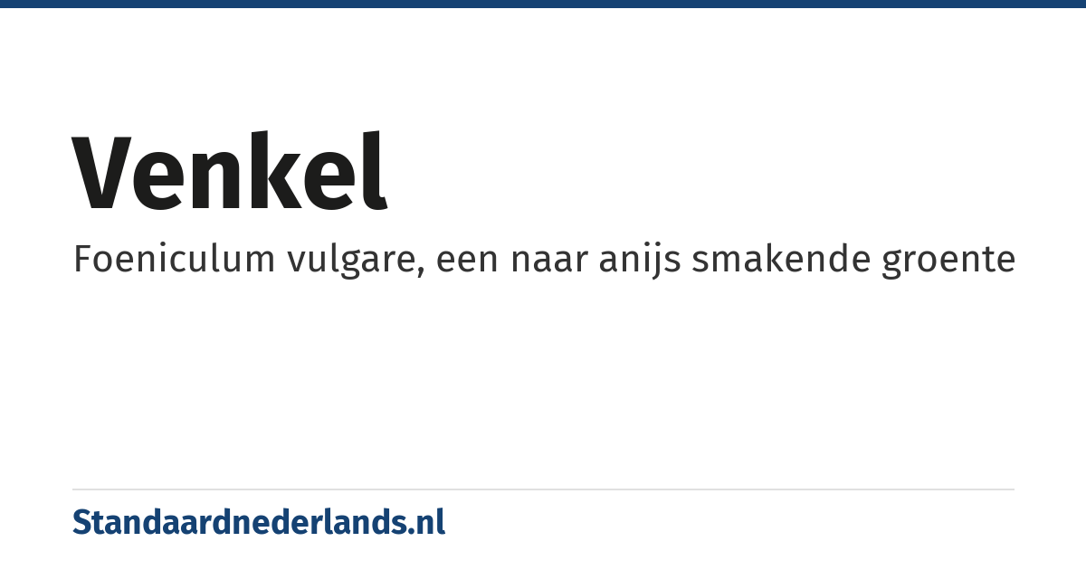 venkel: Foeniculum vulgare, een naar anijs smakende groente