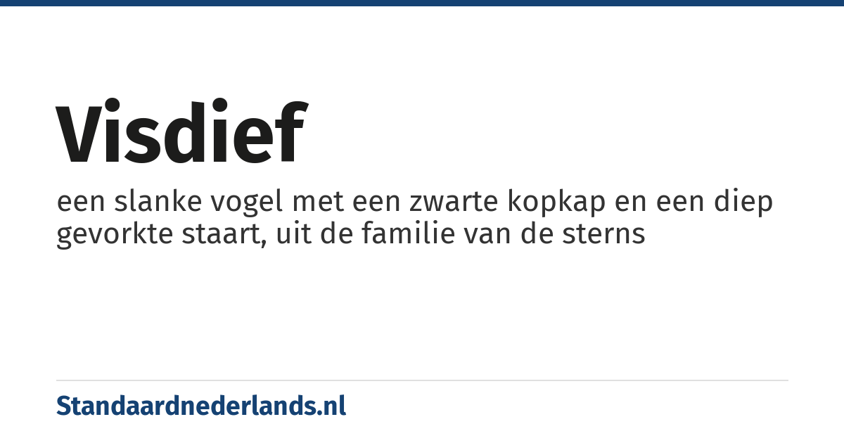 visdief: een slanke vogel met een zwarte kopkap en een diep gevorkte staart, uit de familie van de sterns