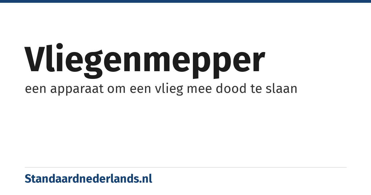 vliegenmepper: een apparaat om een vlieg mee dood te slaan