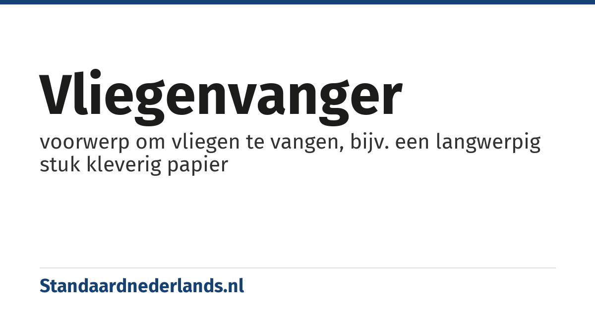 vliegenvanger: voorwerp om vliegen te vangen, bijv. een langwerpig stuk kleverig papier
