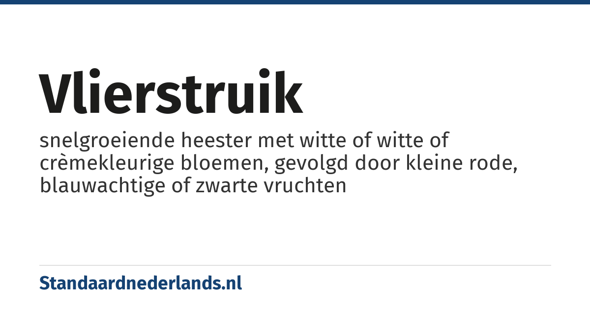 vlierstruik: snelgroeiende heester met witte of witte of crèmekleurige bloemen, gevolgd door kleine rode, blauwachtige of zwarte vruchten