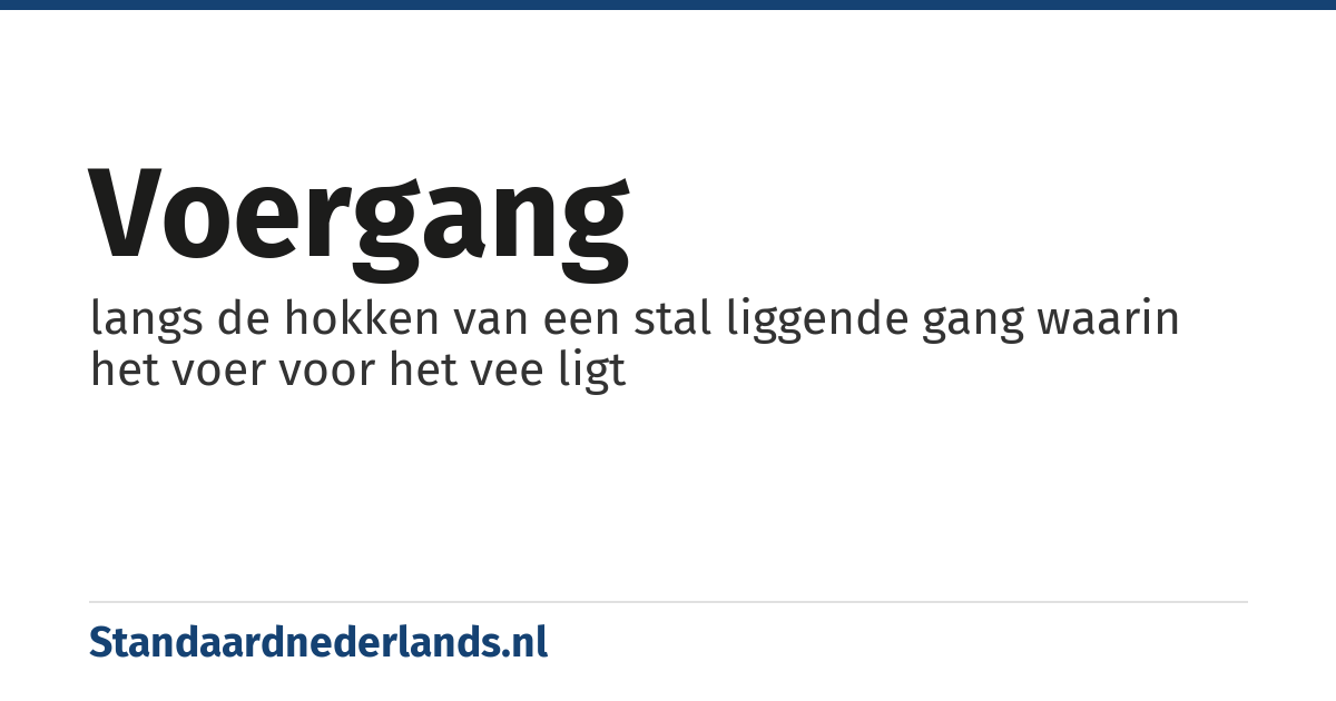 voergang: langs de hokken van een stal liggende gang waarin het voer voor het vee ligt