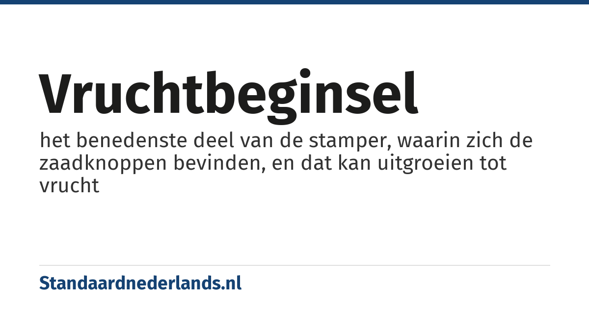 vruchtbeginsel: het benedenste deel van de stamper, waarin zich de zaadknoppen bevinden, en dat kan uitgroeien tot vrucht