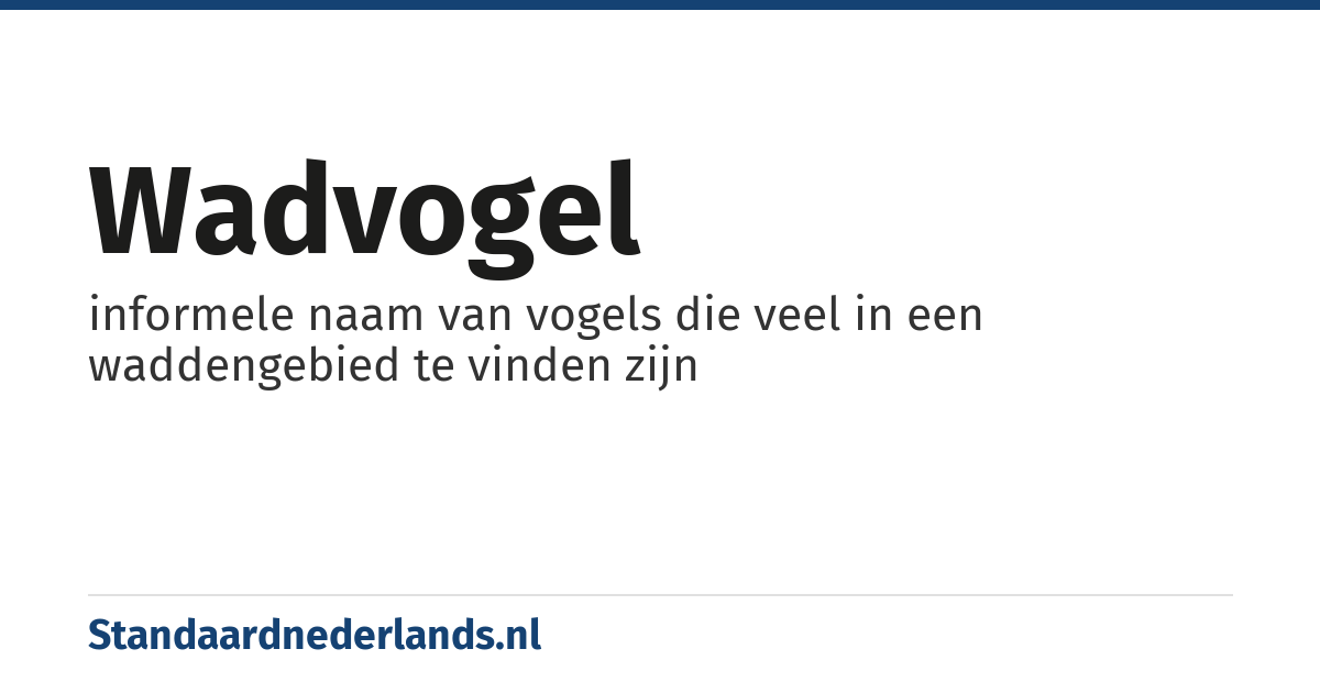 wadvogel: informele naam van vogels die veel in een waddengebied te vinden zijn