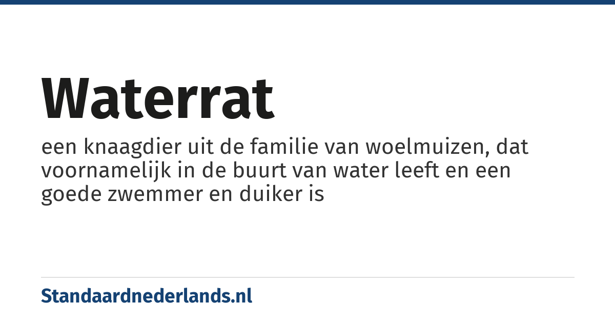 waterrat: een knaagdier uit de familie van woelmuizen, dat voornamelijk in de buurt van water leeft en een goede zwemmer en duiker is