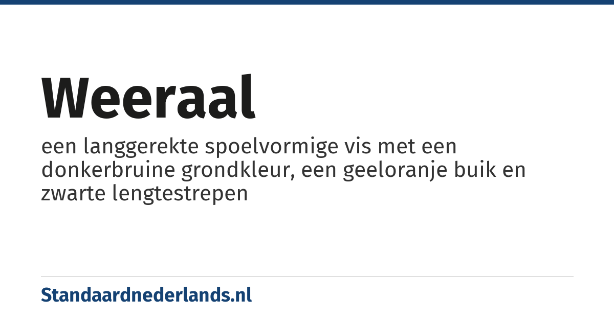 weeraal: een langgerekte spoelvormige vis met een donkerbruine grondkleur, een geeloranje buik en zwarte lengtestrepen