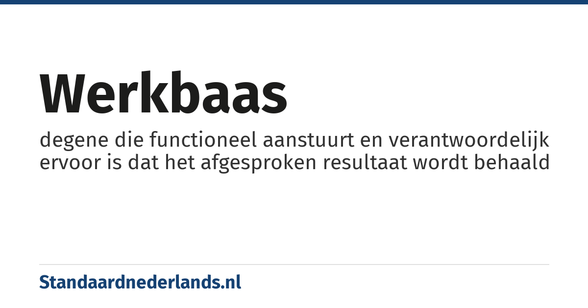 werkbaas: degene die functioneel aanstuurt en verantwoordelijk ervoor is dat het afgesproken resultaat wordt behaald