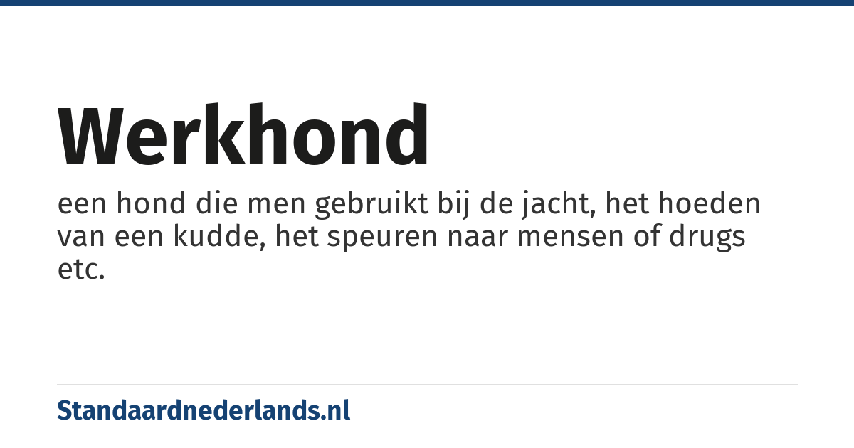 werkhond: een hond die men gebruikt bij de jacht, het hoeden van een kudde, het speuren naar mensen of drugs etc.
