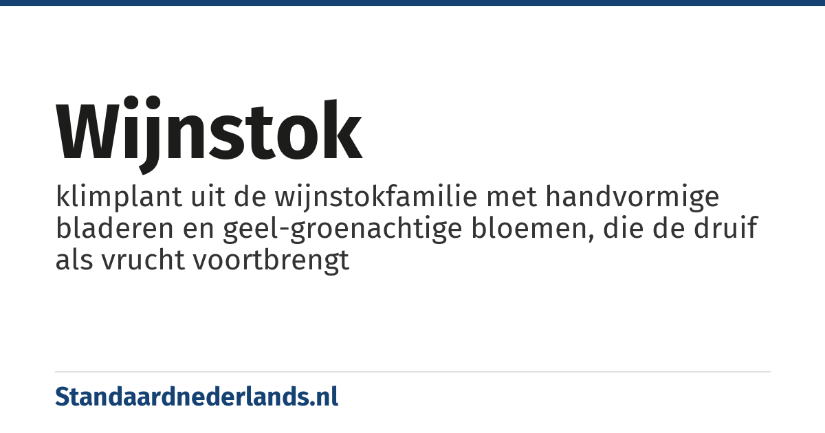wijnstok: klimplant uit de wijnstokfamilie met handvormige bladeren en geel-groenachtige bloemen, die de druif als vrucht voortbrengt