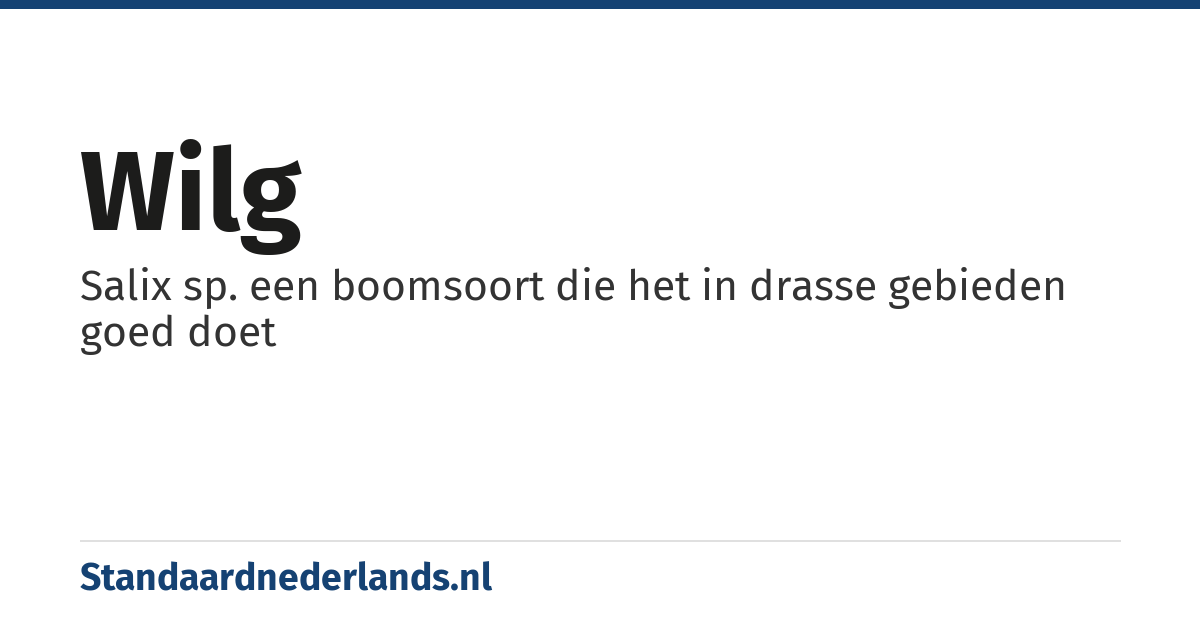 wilg: Salix sp. een boomsoort die het in drasse gebieden goed doet
