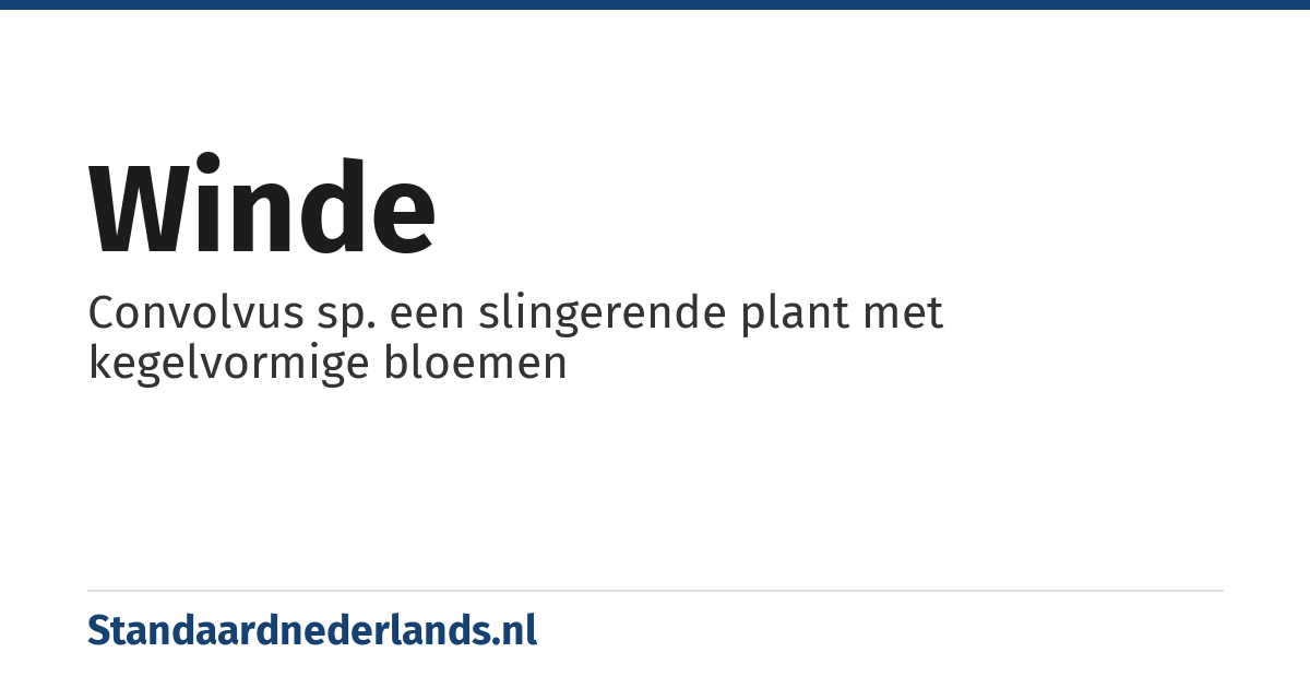 winde: Convolvus sp. een slingerende plant met kegelvormige bloemen