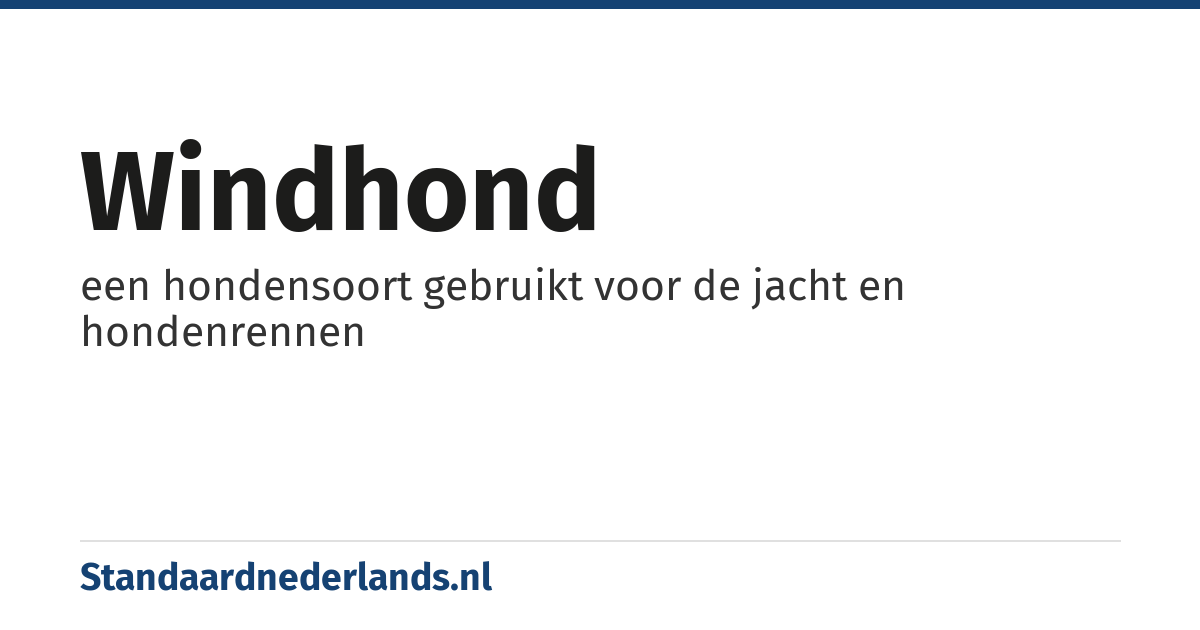windhond: een hondensoort gebruikt voor de jacht en hondenrennen