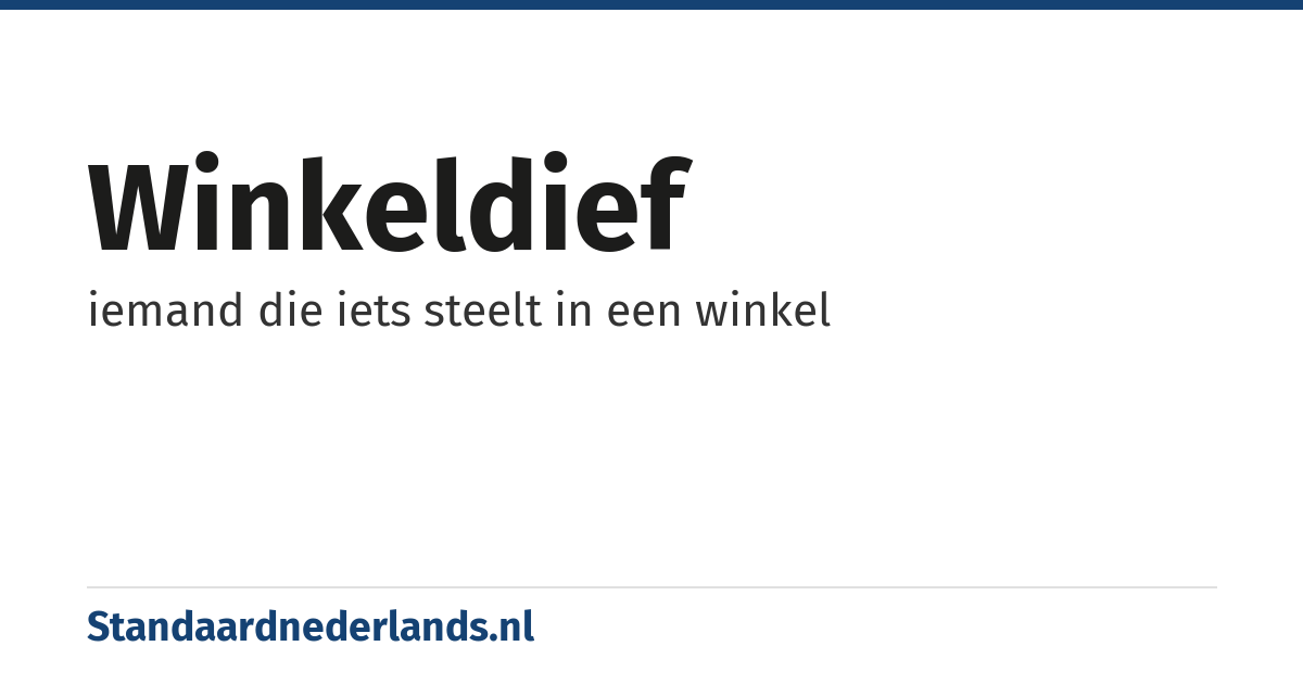 winkeldief: iemand die iets steelt in een winkel