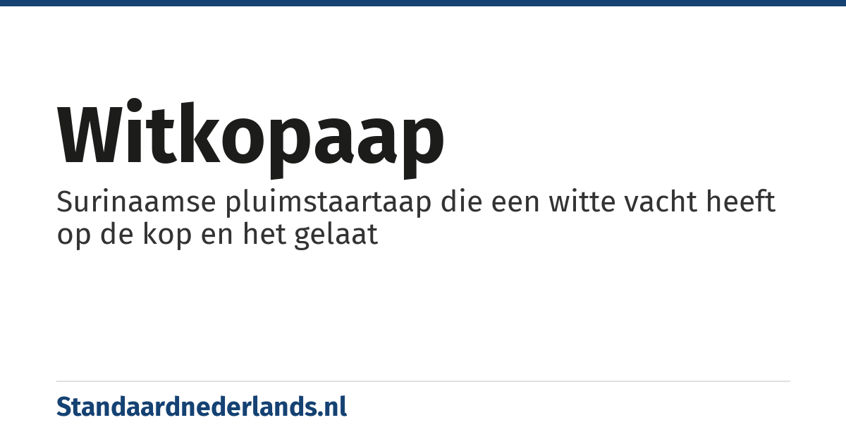 witkopaap: Surinaamse pluimstaartaap die een witte vacht heeft op de kop en het gelaat
