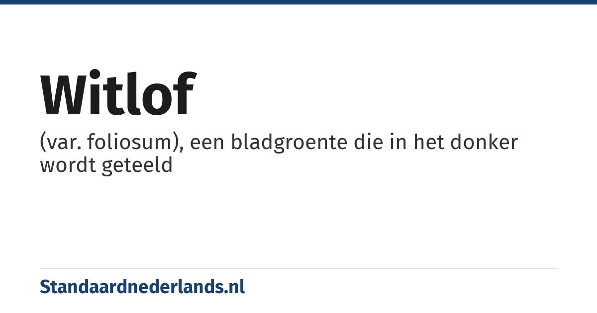 witlof: (var. foliosum), een bladgroente die in het donker wordt geteeld