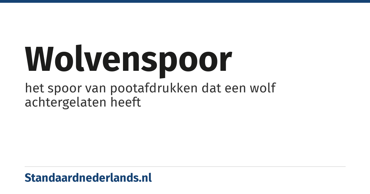 wolvenspoor: het spoor van pootafdrukken dat een wolf achtergelaten heeft