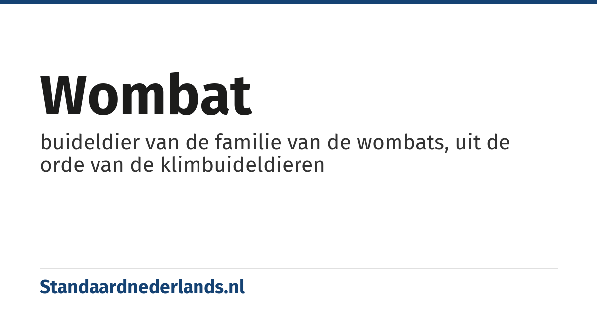 wombat: buideldier van de familie van de wombats, uit de orde van de klimbuideldieren