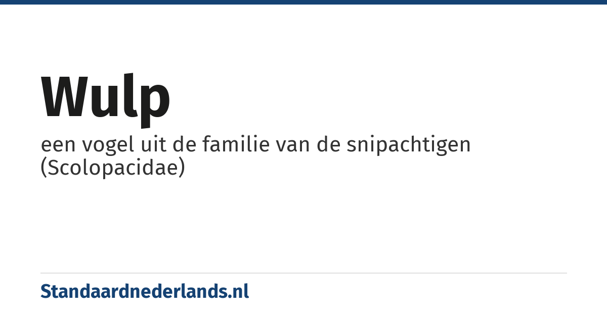 wulp: een vogel uit de familie van de snipachtigen (Scolopacidae)