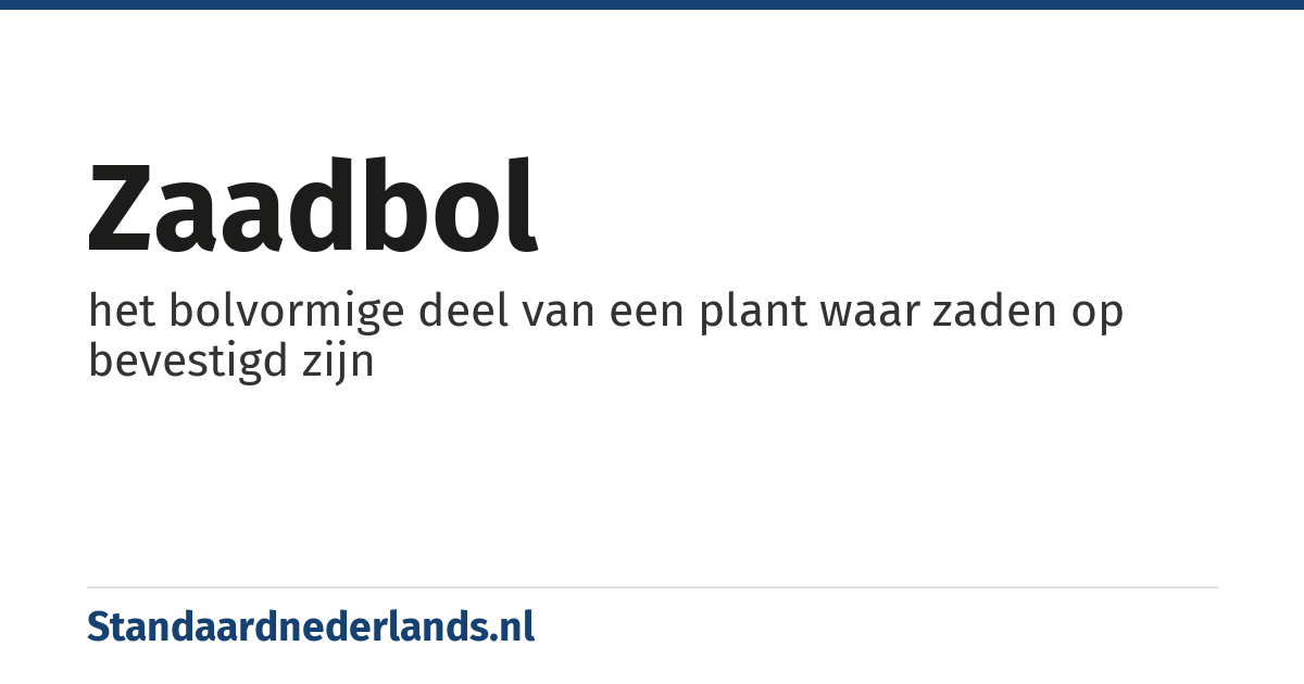 zaadbol: het bolvormige deel van een plant waar zaden op bevestigd zijn