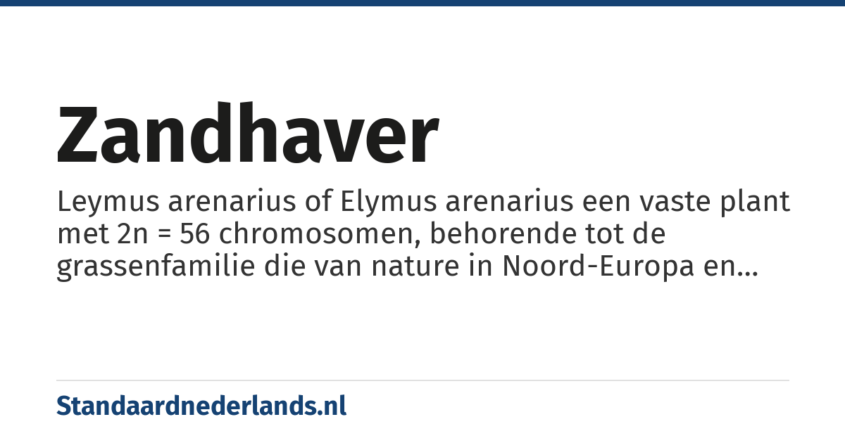 zandhaver: Leymus arenarius of Elymus arenarius een vaste plant met 2n = 56 chromosomen, behorende tot de grassenfamilie die van nature in Noord-Europa en aan de West-Europese kusten voorkomt