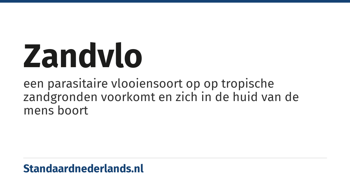 zandvlo: een parasitaire vlooiensoort op op tropische zandgronden voorkomt en zich in de huid van de mens boort