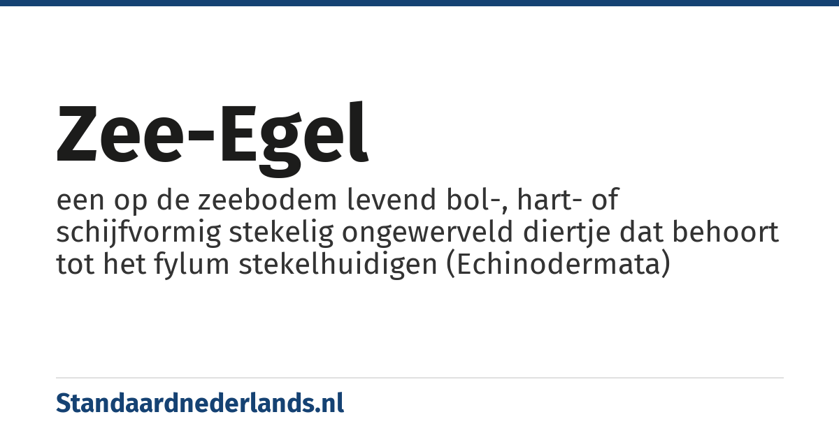 zee-egel: een op de zeebodem levend bol-, hart- of schijfvormig stekelig ongewerveld diertje dat behoort tot het fylum stekelhuidigen (Echinodermata)