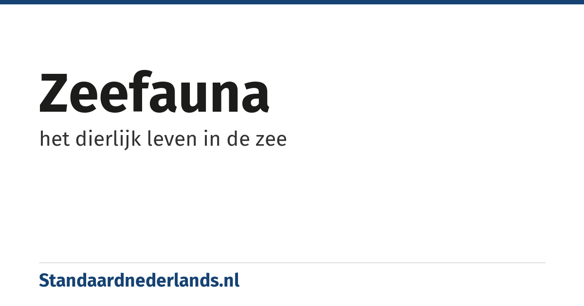 zeefauna: het dierlijk leven in de zee