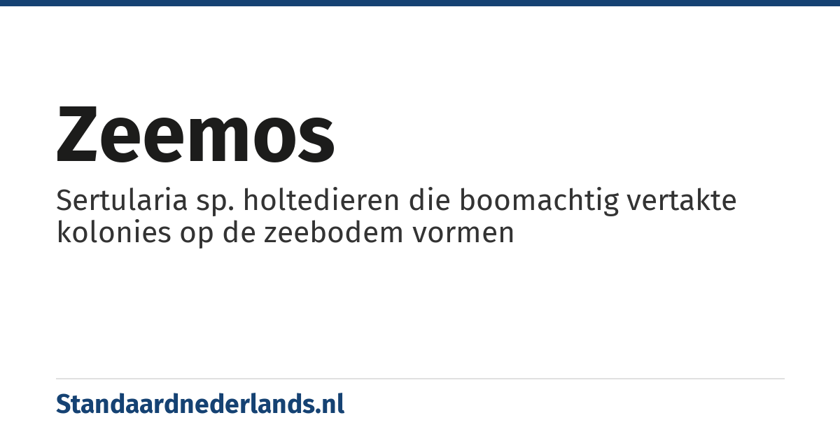 zeemos: Sertularia sp. holtedieren die boomachtig vertakte kolonies op de zeebodem vormen