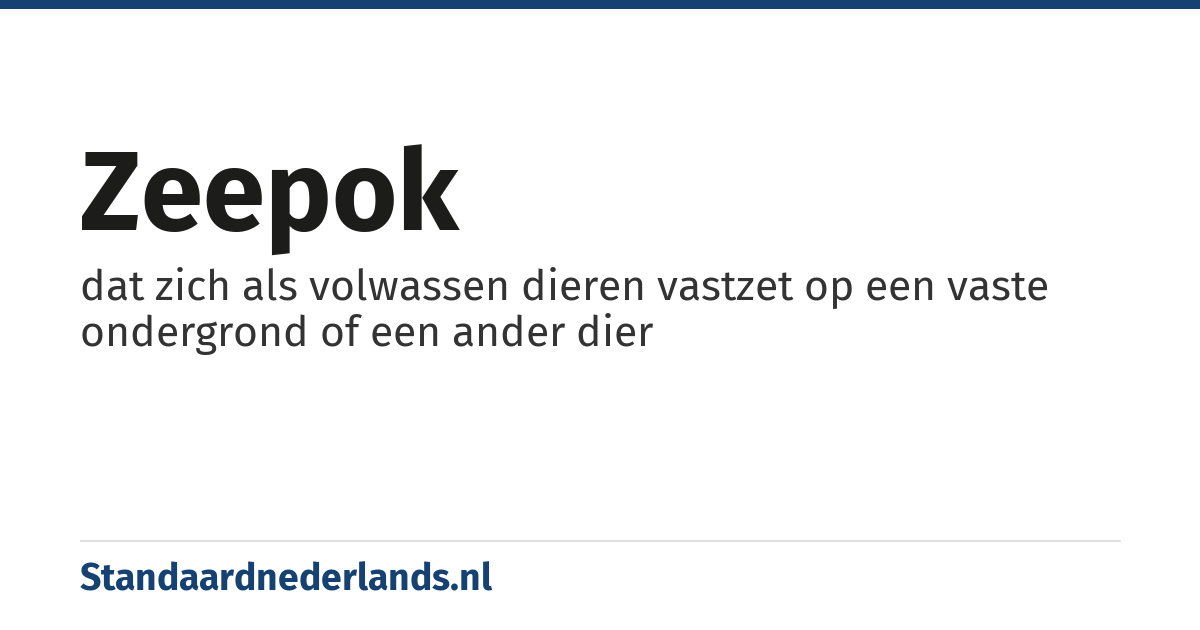 zeepok: dat zich als volwassen dieren vastzet op een vaste ondergrond of een ander dier