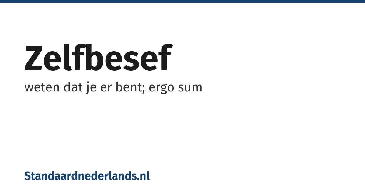 zelfbesef: weten dat je er bent; ergo sum