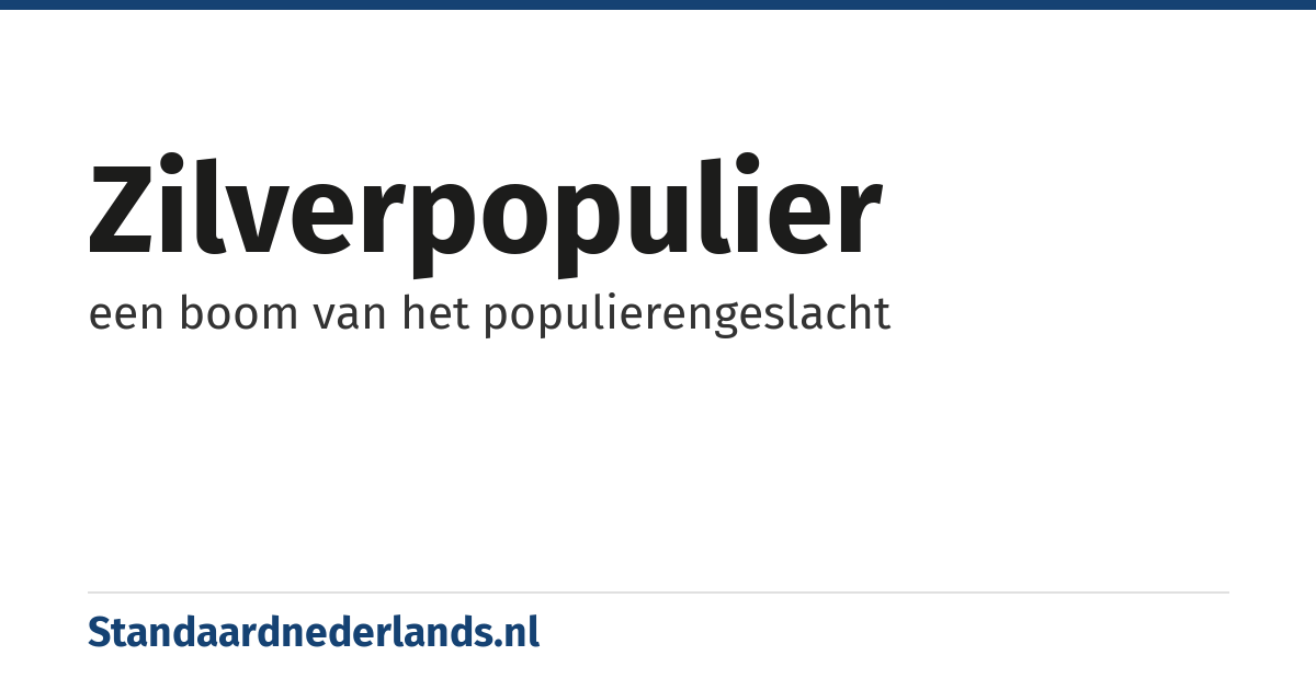 zilverpopulier: een boom van het populierengeslacht