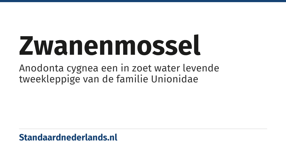 zwanenmossel: Anodonta cygnea een in zoet water levende tweekleppige van de familie Unionidae